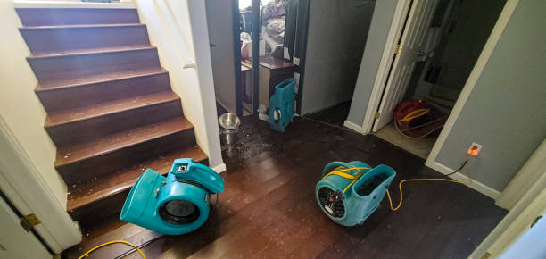 Best Local water damage restoration  in Piggott, AR