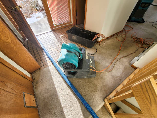  Piggott, AR Water damage restoration Pros