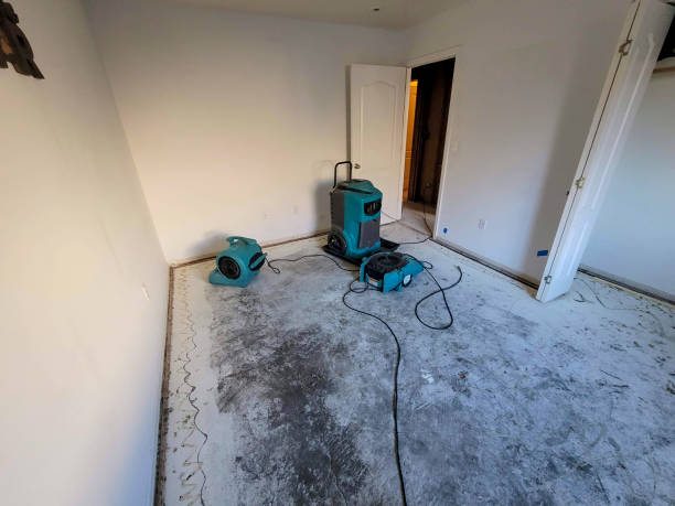 Best Professional water damage repair  in Piggott, AR