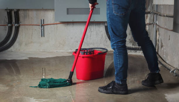 Best Emergency water damage restoration  in Piggott, AR