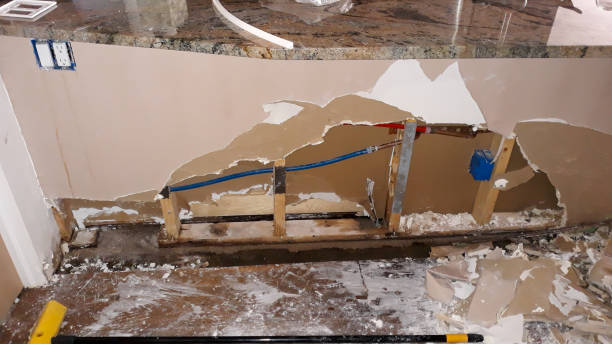 Best Water damage contractors near me  in Piggott, AR