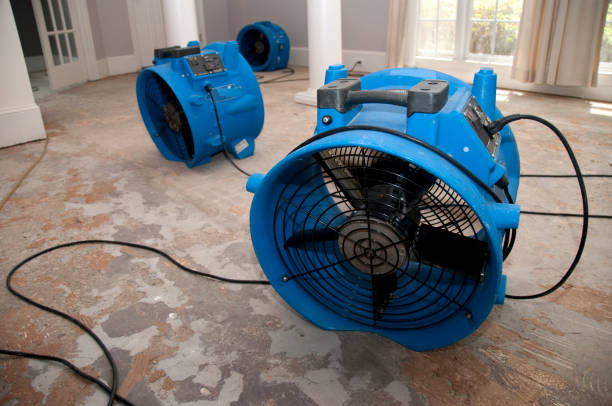 Best Water damage restoration near me  in Piggott, AR
