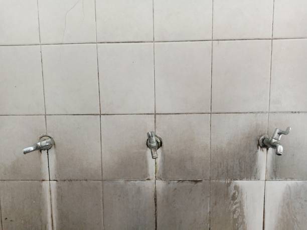 Best Commercial water damage restoration  in Piggott, AR