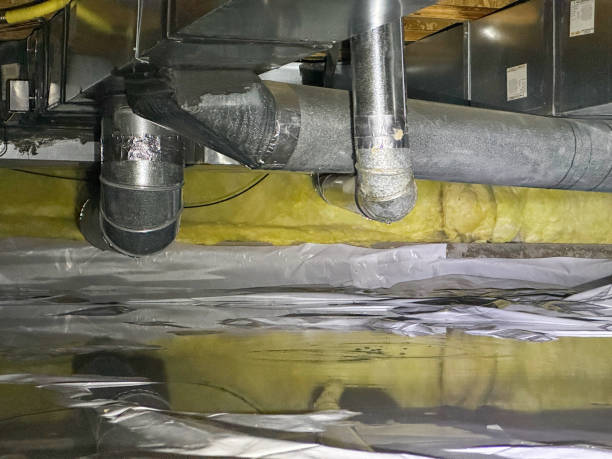 Best Water damage repair service  in Piggott, AR