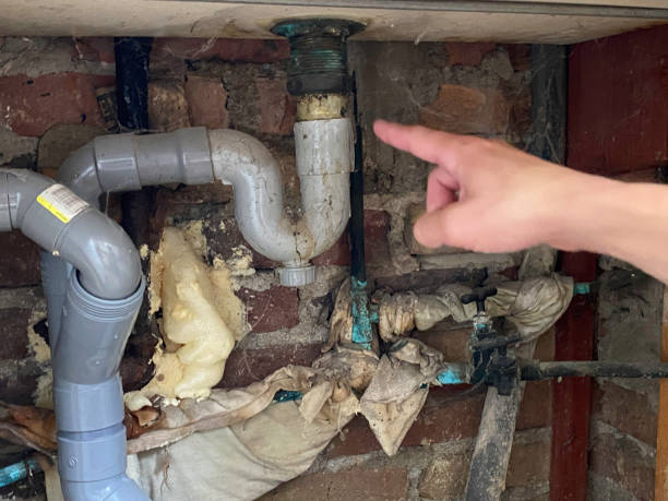 Best Professional water damage repair  in Piggott, AR