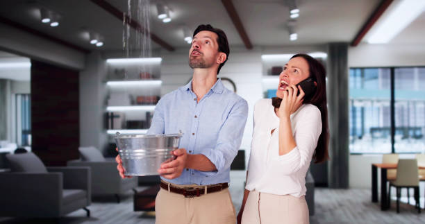 Best Sewage cleanup and water damage restoration  in Piggott, AR